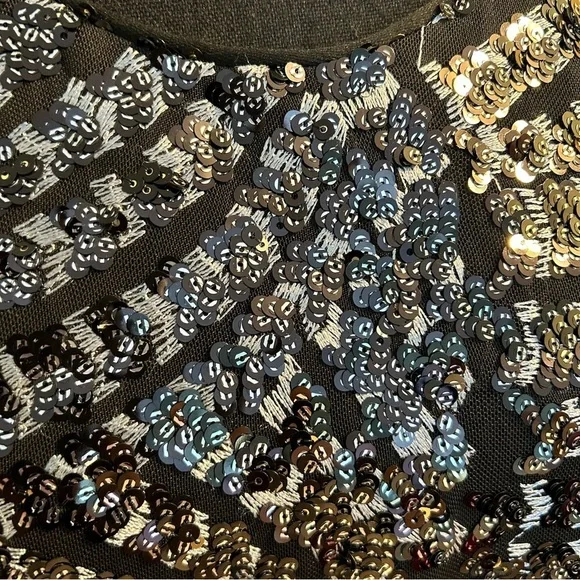 Walter Baker Jaylene Gatsby Sequin top sleeveless black and silver size L - Picture 5 of 9